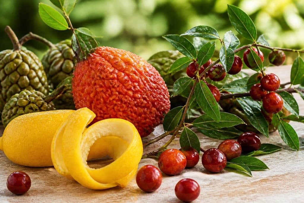 découvrez les fruits en z : leurs noms, origines et bienfaits essentiels pour votre santé et votre plaisir gustatif.