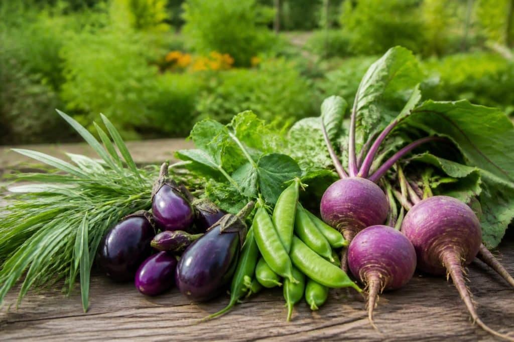 découvrez une liste complète de légumes en v, incluant des variétés rares, et apprenez leurs bienfaits nutritionnels pour une alimentation saine et équilibrée.
